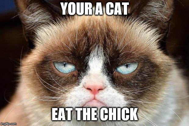 Grumpy Cat Not Amused Meme | YOUR A CAT EAT THE CHICK | image tagged in memes,grumpy cat not amused,grumpy cat | made w/ Imgflip meme maker