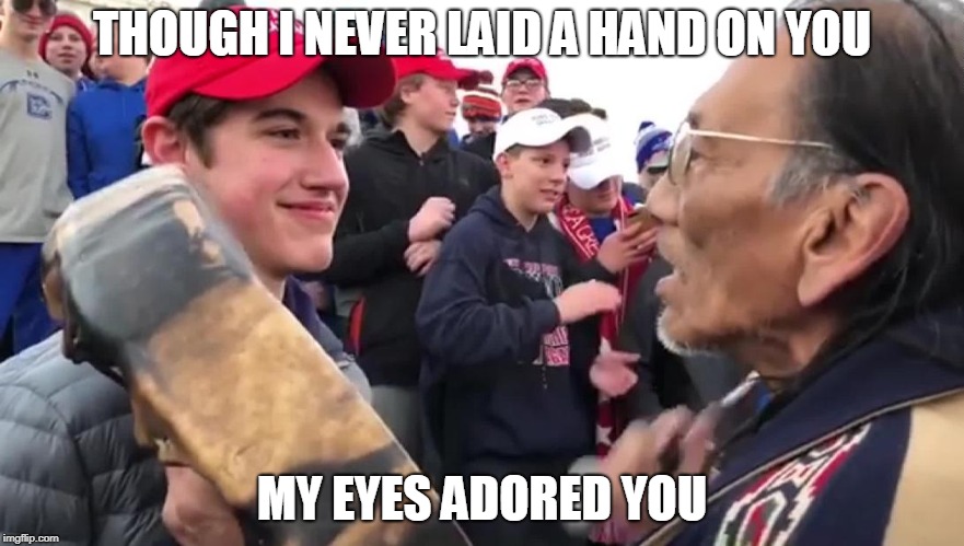 Indian and MAGA hat kid | THOUGH I NEVER LAID A HAND ON YOU; MY EYES ADORED YOU | image tagged in indian and maga hat kid | made w/ Imgflip meme maker