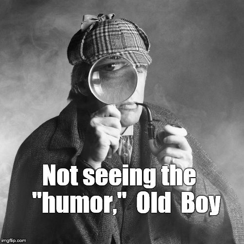 Sherlock Holmes | Not seeing the   "humor,"  Old  Boy | image tagged in sherlock holmes | made w/ Imgflip meme maker