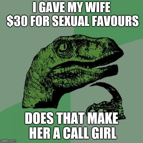 Philosoraptor | I GAVE MY WIFE $30 FOR SEXUAL FAVOURS; DOES THAT MAKE HER A CALL GIRL | image tagged in memes,philosoraptor | made w/ Imgflip meme maker