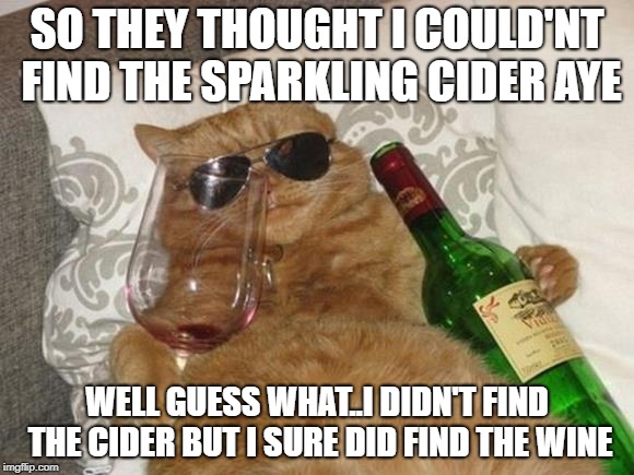 Funny Cat Birthday | SO THEY THOUGHT I COULD'NT FIND THE SPARKLING CIDER AYE; WELL GUESS WHAT..I DIDN'T FIND THE CIDER BUT I SURE DID FIND THE WINE | image tagged in funny cat birthday | made w/ Imgflip meme maker