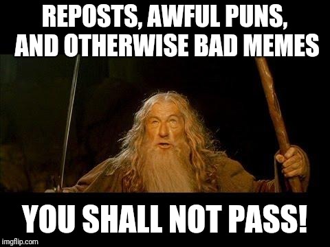You shall not pass | REPOSTS, AWFUL PUNS, AND OTHERWISE BAD MEMES YOU SHALL NOT PASS! | image tagged in you shall not pass | made w/ Imgflip meme maker