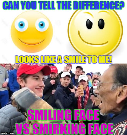 CAN YOU TELL THE DIFFERENCE? LOOKS LIKE A SMILE TO ME! SMILING FACE VS SMIRKING FACE | made w/ Imgflip meme maker