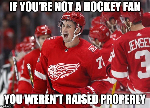 red wings | IF YOU'RE NOT A HOCKEY FAN; YOU WEREN'T RAISED PROPERLY | image tagged in red wings | made w/ Imgflip meme maker