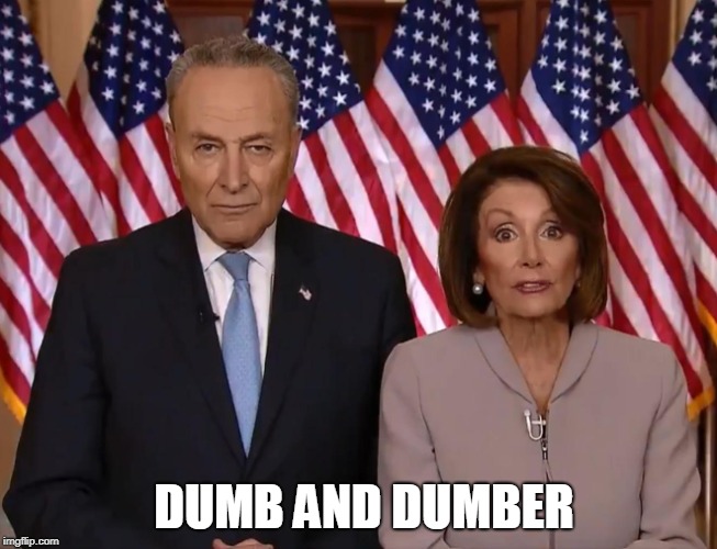 DUMB AND DUMBER | image tagged in chuck and nancy | made w/ Imgflip meme maker