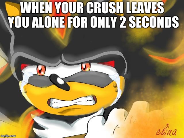Shadow the Hedgehog Crying | WHEN YOUR CRUSH LEAVES YOU ALONE FOR ONLY 2 SECONDS | image tagged in shadow the hedgehog crying | made w/ Imgflip meme maker