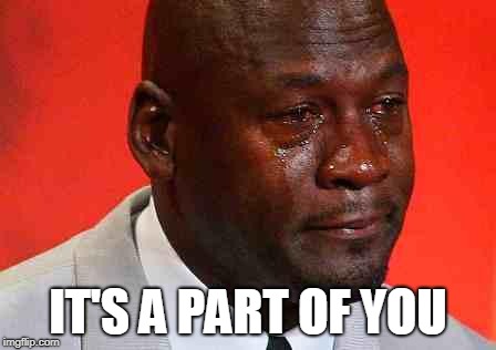 crying michael jordan | IT'S A PART OF YOU | image tagged in crying michael jordan | made w/ Imgflip meme maker
