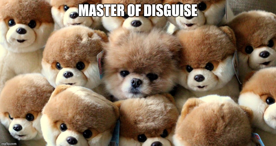 MASTER OF DISGUISE | made w/ Imgflip meme maker
