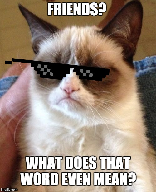 Grumpy Cat Meme | FRIENDS? WHAT DOES THAT WORD EVEN MEAN? | image tagged in memes,grumpy cat | made w/ Imgflip meme maker