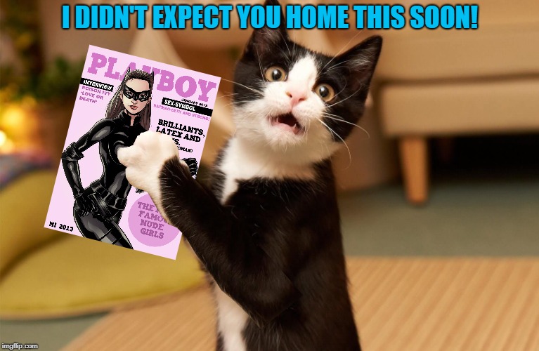 Curious Cat | I DIDN'T EXPECT YOU HOME THIS SOON! | image tagged in funny memes,cat,cat memes,playboy | made w/ Imgflip meme maker
