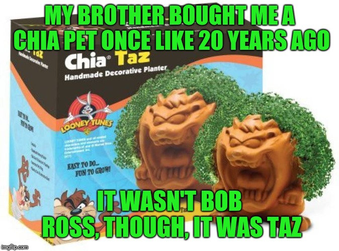 MY BROTHER BOUGHT ME A CHIA PET ONCE LIKE 20 YEARS AGO IT WASN'T BOB ROSS, THOUGH, IT WAS TAZ | made w/ Imgflip meme maker