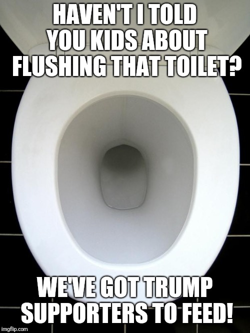 TOILET | HAVEN'T I TOLD YOU KIDS ABOUT FLUSHING THAT TOILET? WE'VE GOT TRUMP SUPPORTERS TO FEED! | image tagged in toilet | made w/ Imgflip meme maker