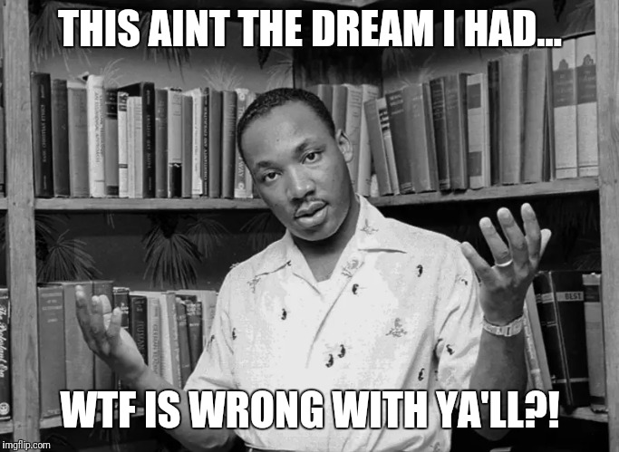 Mlk | THIS AINT THE DREAM I HAD... WTF IS WRONG WITH YA'LL?! | image tagged in mlk,wtf | made w/ Imgflip meme maker
