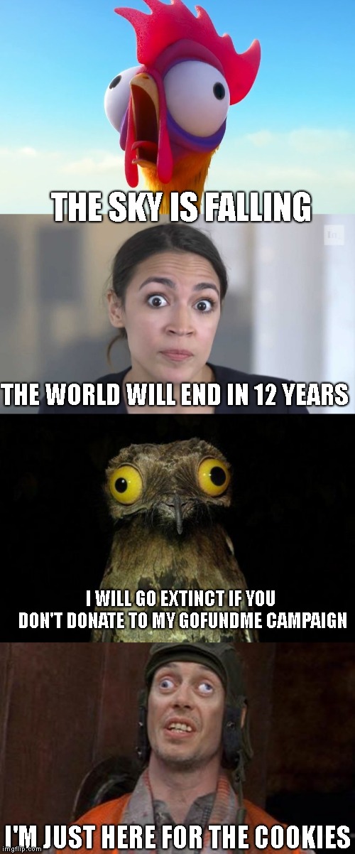 Who Do You Believe ? | THE SKY IS FALLING; THE WORLD WILL END IN 12 YEARS; I WILL GO EXTINCT IF YOU DON'T DONATE TO MY GOFUNDME CAMPAIGN; I'M JUST HERE FOR THE COOKIES | image tagged in memes,weird stuff i do potoo,crazy alexandria ocasio-cortez,i see nut jobs | made w/ Imgflip meme maker