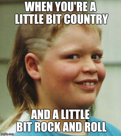 WHEN YOU'RE A LITTLE BIT COUNTRY; AND A LITTLE BIT ROCK AND ROLL | image tagged in funny memes | made w/ Imgflip meme maker
