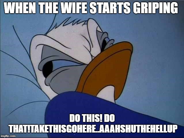 Donald |  WHEN THE WIFE STARTS GRIPING; DO THIS! DO THAT!TAKETHISGOHERE..AAAHSHUTHEHELLUP | image tagged in angry donald | made w/ Imgflip meme maker
