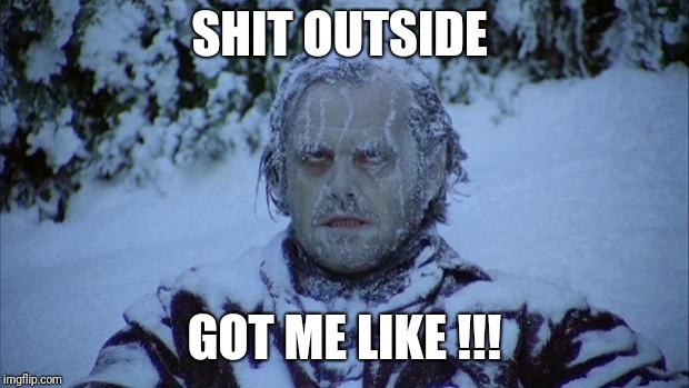 Cold | SHIT OUTSIDE; GOT ME LIKE !!! | image tagged in cold | made w/ Imgflip meme maker