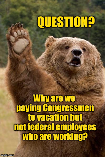 I don’t know | QUESTION? Why are we paying Congressmen to vacation but not federal employees who are working? | image tagged in bear has a question,question,congress vacations,federal employees work,paychecks,government shutdown | made w/ Imgflip meme maker