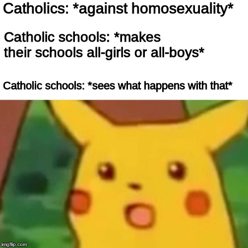 Surprised Pikachu | Catholics: *against homosexuality*; Catholic schools: *makes their schools all-girls or all-boys*; Catholic schools: *sees what happens with that* | image tagged in memes,surprised pikachu | made w/ Imgflip meme maker