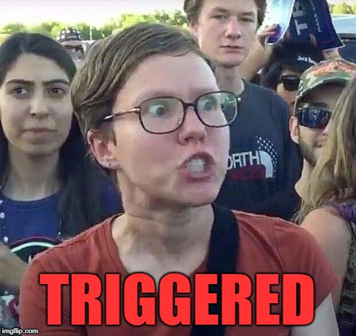 foggy | TRIGGERED | image tagged in triggered feminist | made w/ Imgflip meme maker