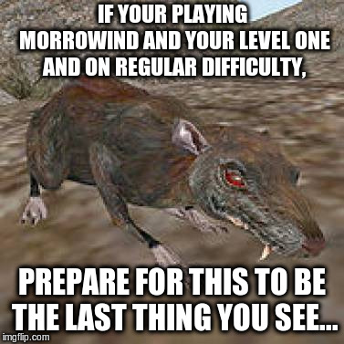 *Gets shredded by rats* | IF YOUR PLAYING MORROWIND AND YOUR LEVEL ONE AND ON REGULAR DIFFICULTY, PREPARE FOR THIS TO BE THE LAST THING YOU SEE... | image tagged in morrowind | made w/ Imgflip meme maker