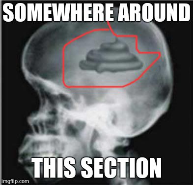 Shit for brains | SOMEWHERE AROUND THIS SECTION | image tagged in shit for brains | made w/ Imgflip meme maker