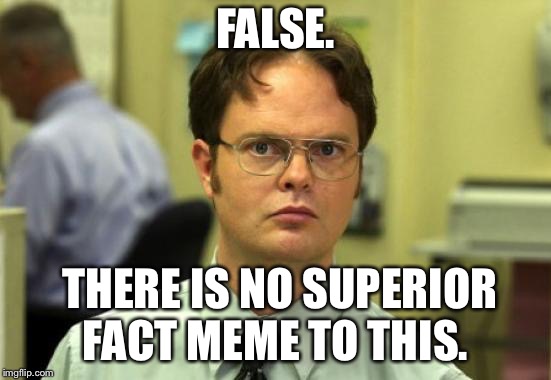 Dwight Schrute Meme | FALSE. THERE IS NO SUPERIOR FACT MEME TO THIS. | image tagged in memes,dwight schrute | made w/ Imgflip meme maker