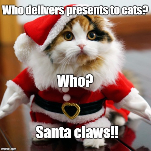 Santa claws | Who delivers presents to cats? Who? Santa claws!! | image tagged in cats | made w/ Imgflip meme maker