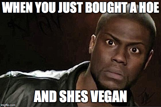 Kevin Hart | WHEN YOU JUST BOUGHT A HOE; AND SHES VEGAN | image tagged in memes,kevin hart | made w/ Imgflip meme maker