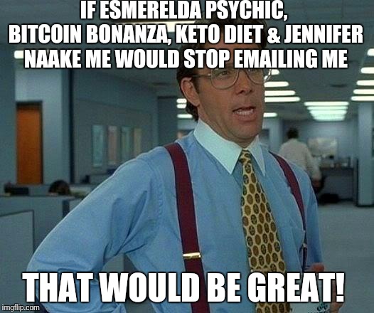 Seriously, just stop! | IF ESMERELDA PSYCHIC, BITCOIN BONANZA, KETO DIET & JENNIFER NAAKE ME WOULD STOP EMAILING ME; THAT WOULD BE GREAT! | image tagged in memes,that would be great,email | made w/ Imgflip meme maker