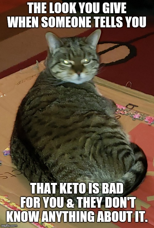 Keto keto keto  | THE LOOK YOU GIVE WHEN SOMEONE TELLS YOU; THAT KETO IS BAD FOR YOU & THEY DON'T KNOW ANYTHING ABOUT IT. | image tagged in keto,diet,fasting,ketogenic,no carbs | made w/ Imgflip meme maker