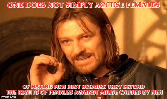 One Does Not Simply | ONE DOES NOT SIMPLY ACCUSE FEMALES; OF HATING MEN JUST BECAUSE THEY DEFEND THE RIGHTS OF FEMALES AGAINST ABUSE CAUSED BY MEN | image tagged in memes,one does not simply | made w/ Imgflip meme maker