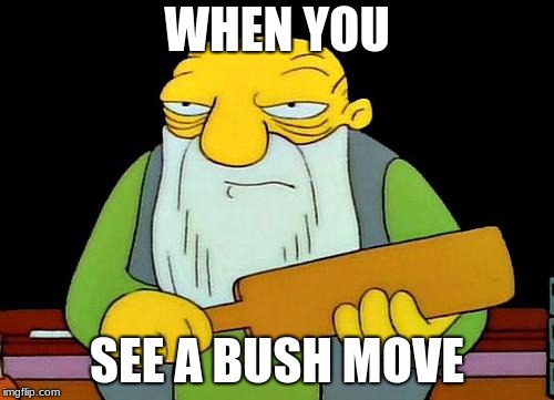 That's a paddlin' | WHEN YOU; SEE A BUSH MOVE | image tagged in memes,that's a paddlin' | made w/ Imgflip meme maker