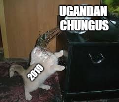 UGANDAN CHUNGUS; 2019 | image tagged in funny | made w/ Imgflip meme maker