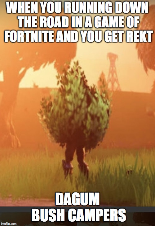 Fortnite bush | WHEN YOU RUNNING DOWN THE ROAD IN A GAME OF FORTNITE AND YOU GET REKT; DAGUM BUSH CAMPERS | image tagged in fortnite bush | made w/ Imgflip meme maker