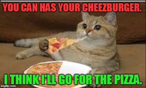 YOU CAN HAS YOUR CHEEZBURGER. I THINK I'LL GO FOR THE PIZZA. | image tagged in cats,memes,funny,nixieknox,i haz pizza | made w/ Imgflip meme maker