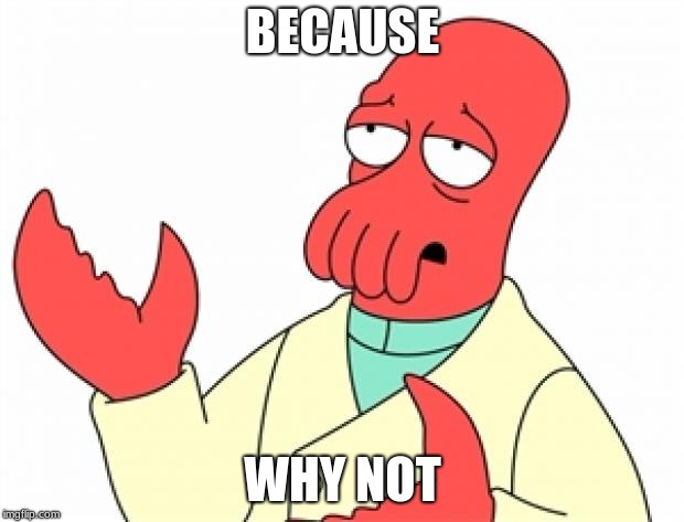 Why not Zoidberg | BECAUSE WHY NOT | image tagged in why not zoidberg | made w/ Imgflip meme maker