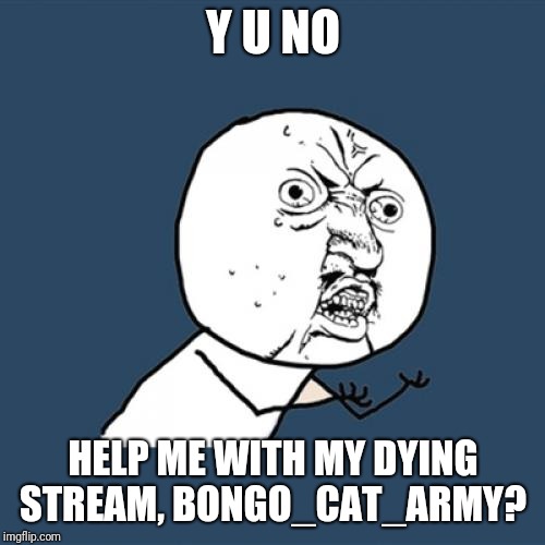 Y U No Meme | Y U NO HELP ME WITH MY DYING STREAM, BONGO_CAT_ARMY? | image tagged in memes,y u no | made w/ Imgflip meme maker