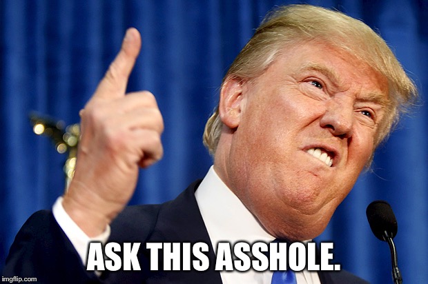 Donald Trump | ASK THIS ASSHOLE. | image tagged in donald trump | made w/ Imgflip meme maker