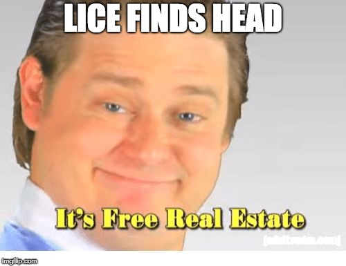 LICE | LICE FINDS HEAD | image tagged in it's free real estate,lice,funny,hair,hot | made w/ Imgflip meme maker