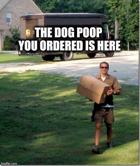 UPS delivery guy | THE DOG POOP YOU ORDERED IS HERE | image tagged in ups delivery guy | made w/ Imgflip meme maker