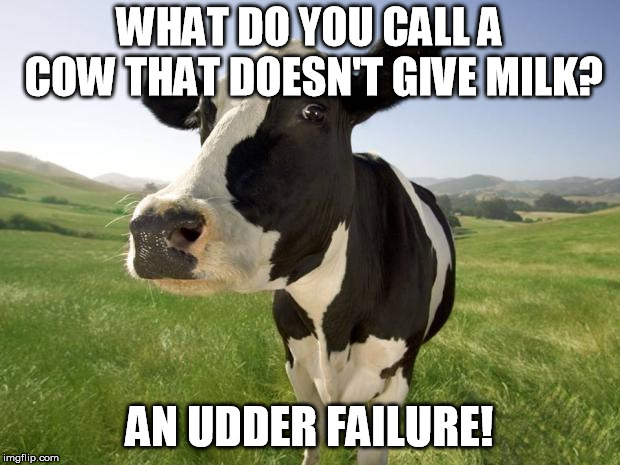 cow | WHAT DO YOU CALL A COW THAT DOESN'T GIVE MILK? AN UDDER FAILURE! | image tagged in cow | made w/ Imgflip meme maker