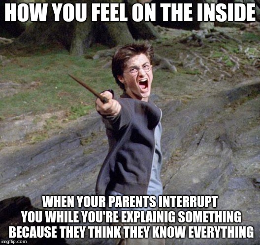 Harry potter | HOW YOU FEEL ON THE INSIDE; WHEN YOUR PARENTS INTERRUPT YOU WHILE YOU'RE EXPLAINIG SOMETHING BECAUSE THEY THINK THEY KNOW EVERYTHING | image tagged in harry potter | made w/ Imgflip meme maker