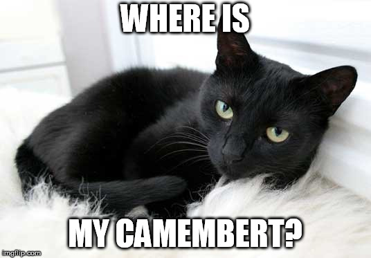 black cat | WHERE IS; MY CAMEMBERT? | image tagged in black cat | made w/ Imgflip meme maker