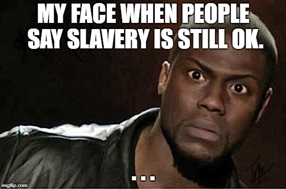 Kevin Hart | MY FACE WHEN PEOPLE SAY SLAVERY IS STILL OK. . . . | image tagged in memes,kevin hart | made w/ Imgflip meme maker