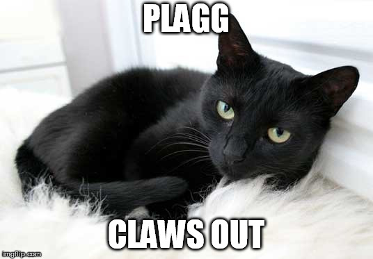 black cat | PLAGG; CLAWS OUT | image tagged in black cat | made w/ Imgflip meme maker