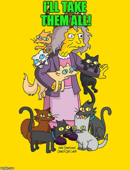 Crazy Cat Lady | I'LL TAKE THEM ALL! | image tagged in crazy cat lady | made w/ Imgflip meme maker