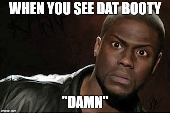 Kevin Hart | WHEN YOU SEE DAT BOOTY; "DAMN" | image tagged in memes,kevin hart | made w/ Imgflip meme maker