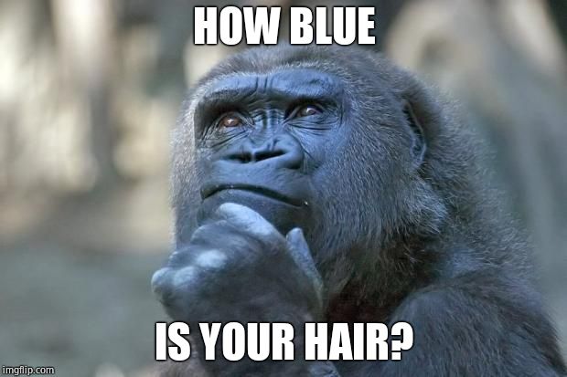 that is the question | HOW BLUE IS YOUR HAIR? | image tagged in that is the question | made w/ Imgflip meme maker
