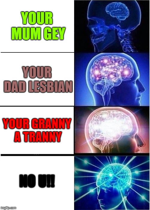 Expanding Brain | YOUR MUM GEY; YOUR DAD LESBIAN; YOUR GRANNY A TRANNY; NO U!! | image tagged in memes,expanding brain | made w/ Imgflip meme maker